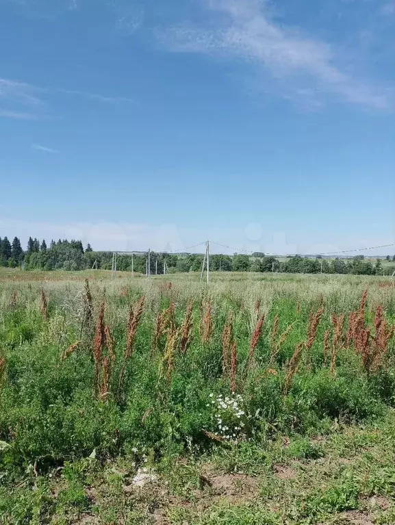 Участок 11 сот. (СНТ, ДНП) - Фото 1