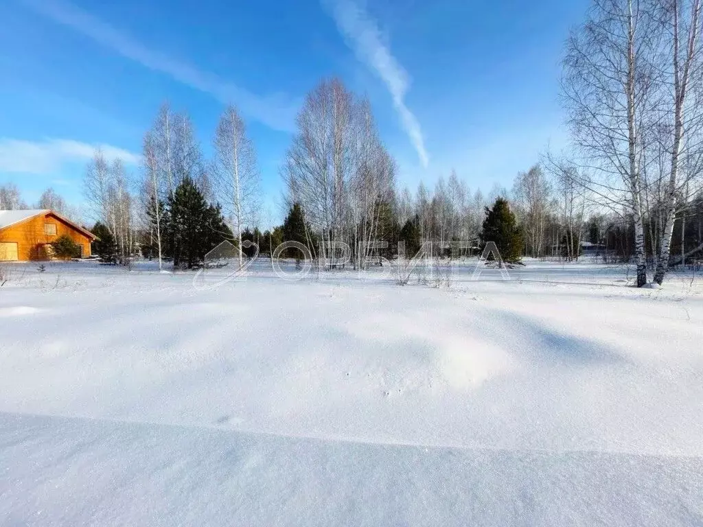Участок в Тюменская область, Тюменский муниципальный округ, с. ... - Фото 1