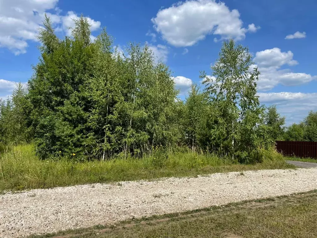 Участок в Тульская область, Ясногорский район, Иваньковское с/пос, с. ... - Фото 1