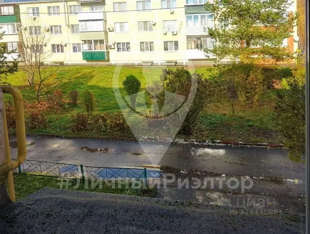 1-к кв. Рязанская область, Рязанский муниципальный округ, с. ... - Фото 2