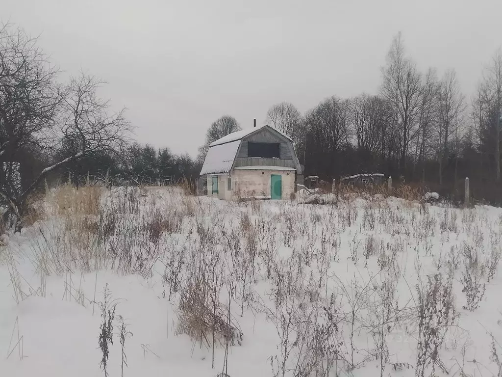 Участок в Псковская область, Островский район, Бережанская волость, ... - Фото 1