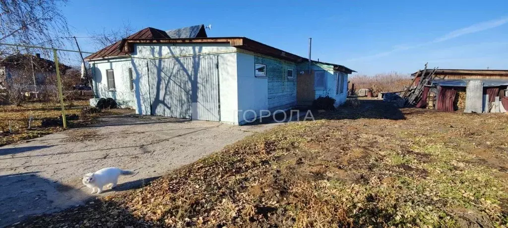 Дом в Алтайский край, Павловский район, с. Черемное Нагорная ул. (173 ... - Фото 1