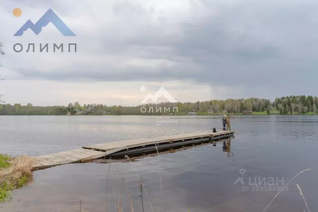 Участок в Вологодская область, Шекснинский муниципальный округ, ... - Фото 2