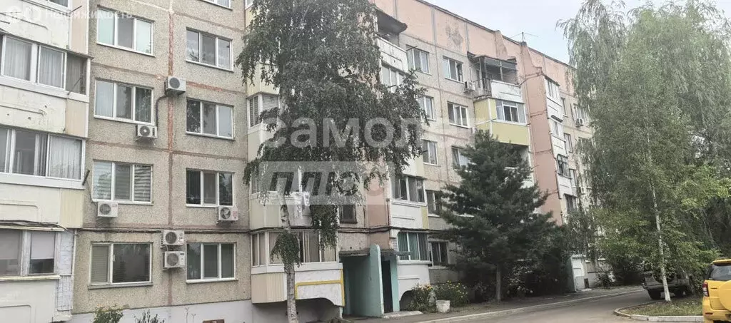 1-комнатная квартира: Арсеньев, Октябрьская улица, 98/1 (33.3 м) - Фото 1