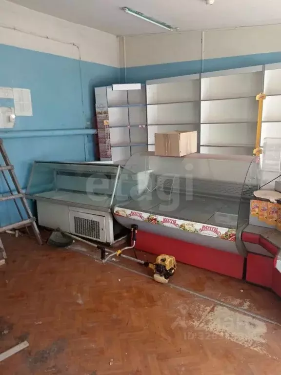 Торговая площадь в Брянская область, Новозыбков ул. Рошаля, 42 (50 м) - Фото 2