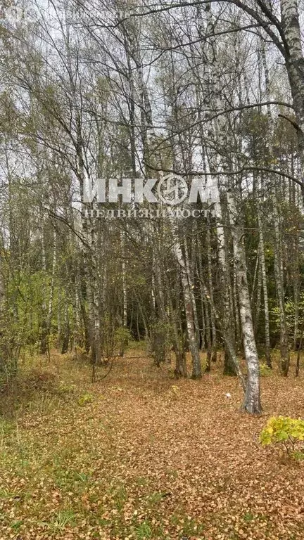 Участок в Московская область, муниципальный округ Чехов, деревня ... - Фото 1