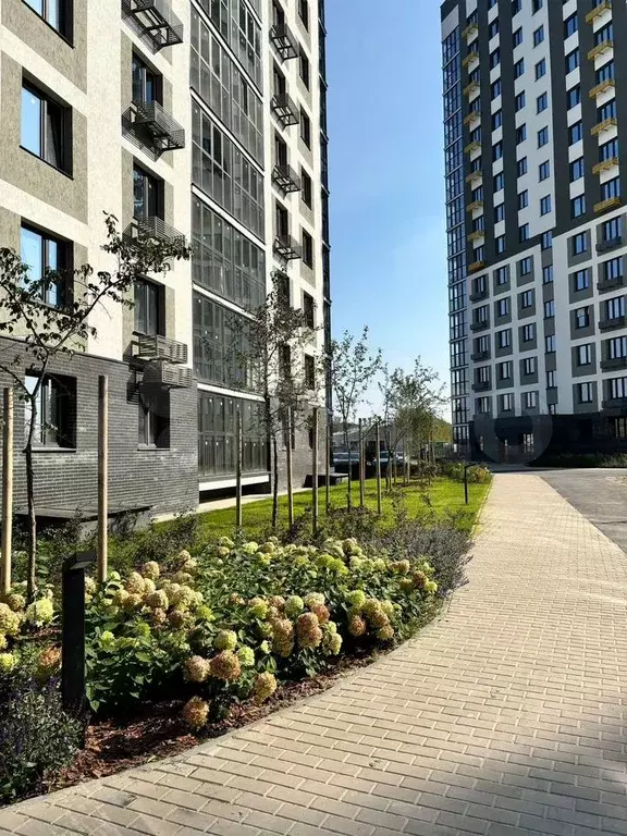 Квартира-студия, 29,8 м, 10/15 эт. - Фото 0