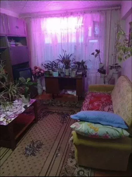 2-к кв. Коми, Воргашор пгт ул. Энтузиастов, 23/1 (47.0 м) - Фото 1