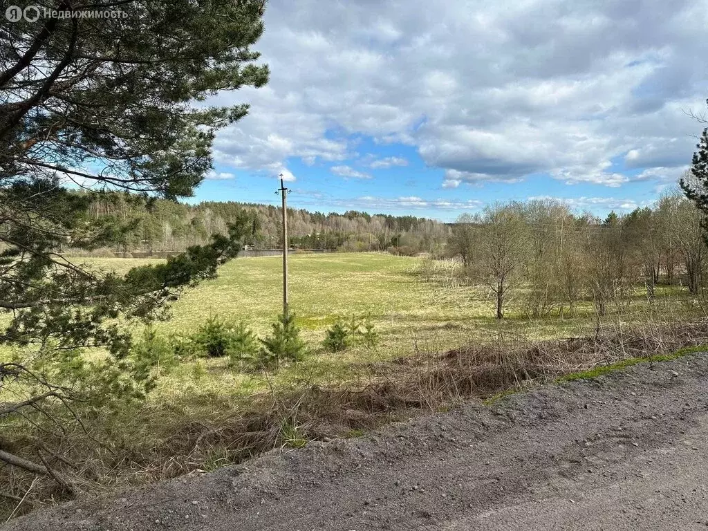 Участок в Выборгский район, Каменногорское городское поселение (3.44 ... - Фото 1