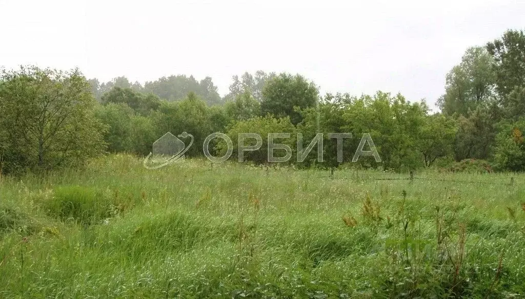 Участок в Тюменская область, Тюменский район, Нива СНТ ул. Вишневая ... - Фото 1