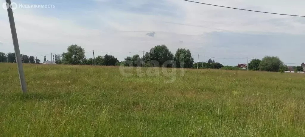 Участок в Кармаскалинский район, Подлубовский сельсовет, ТСН Соловей ... - Фото 2