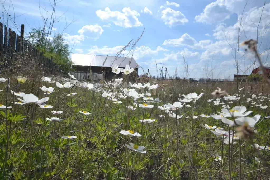 Участок, 6.2 сот., поселения (ижс) - Фото 0