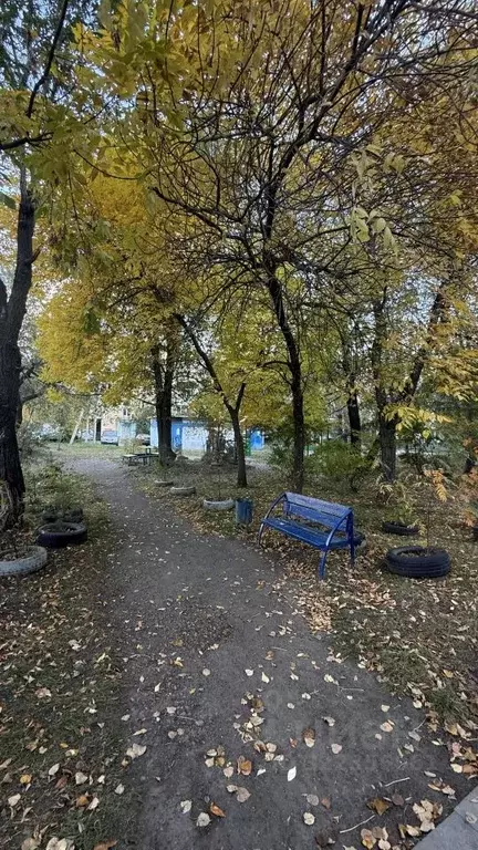 1-к кв. Челябинская область, Челябинск ул. Ворошилова, 53Б (30.1 м) - Фото 2