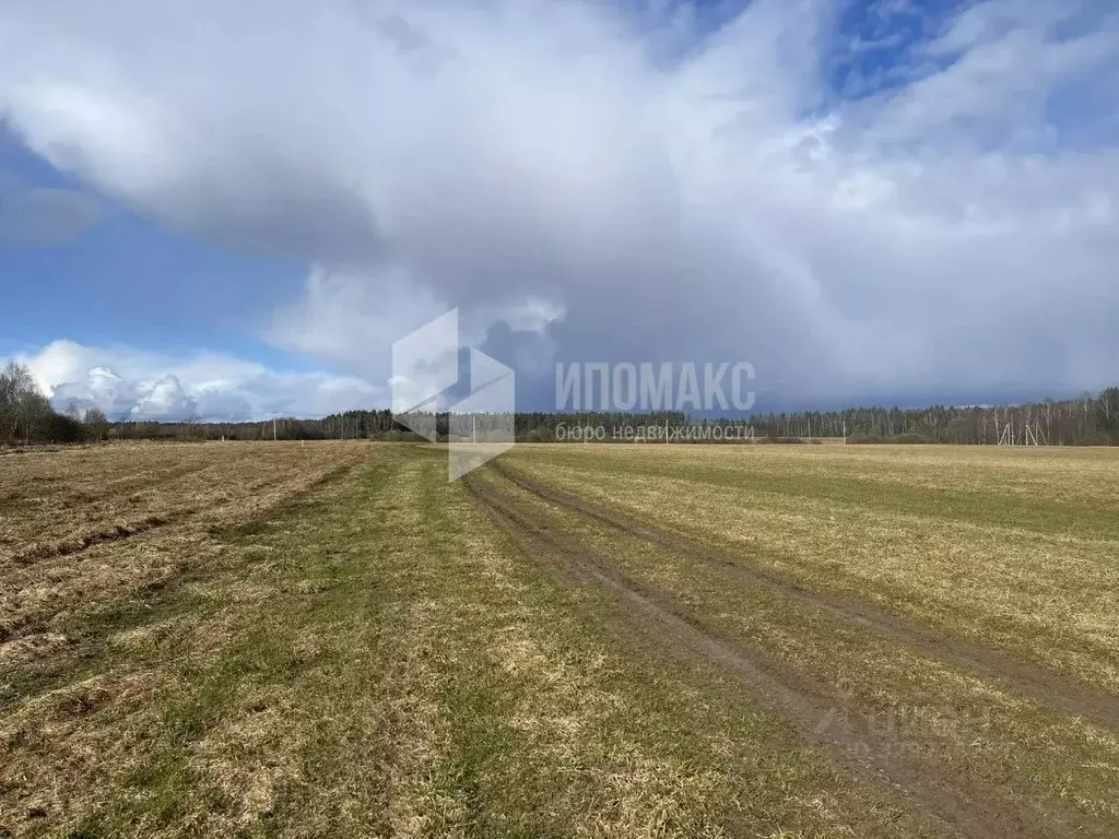 Участок в Московская область, Наро-Фоминский городской округ, с. ... - Фото 1