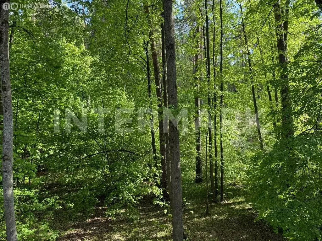 Участок в Москва, Одинцовская улица (30 м) - Фото 2