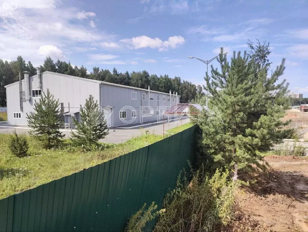 Участок в Тюменский муниципальный округ, деревня Дударева (51 м) - Фото 2