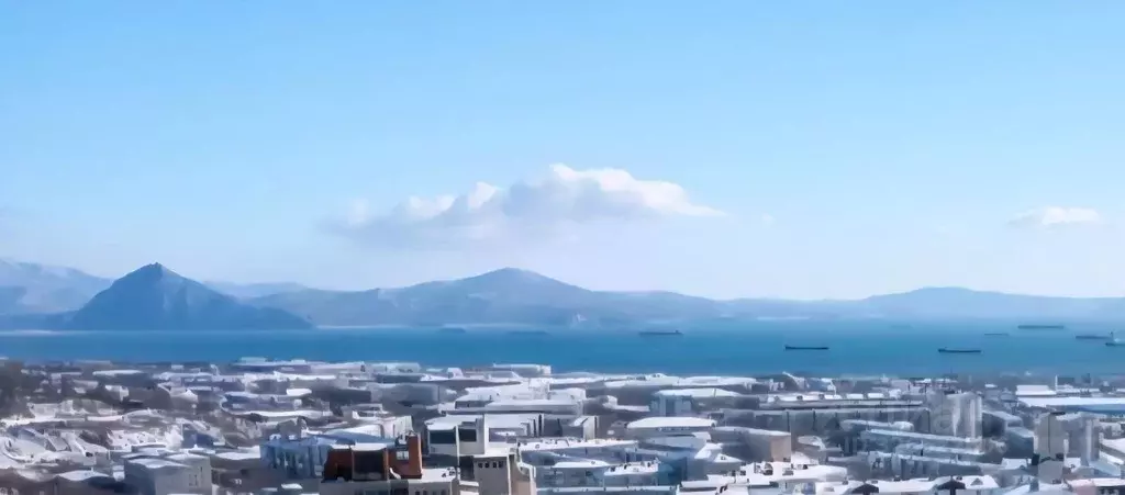 1-к кв. Приморский край, Находка ул. Дзержинского, 18 (34.4 м) - Фото 1