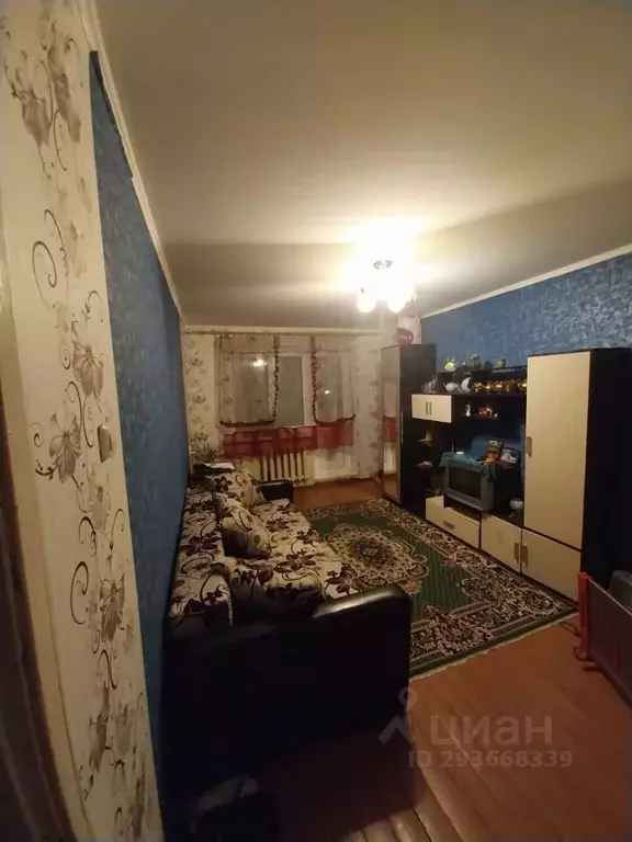 1-к кв. Ленинградская область, Лужский район, д. Ретюнь ул. ... - Фото 0