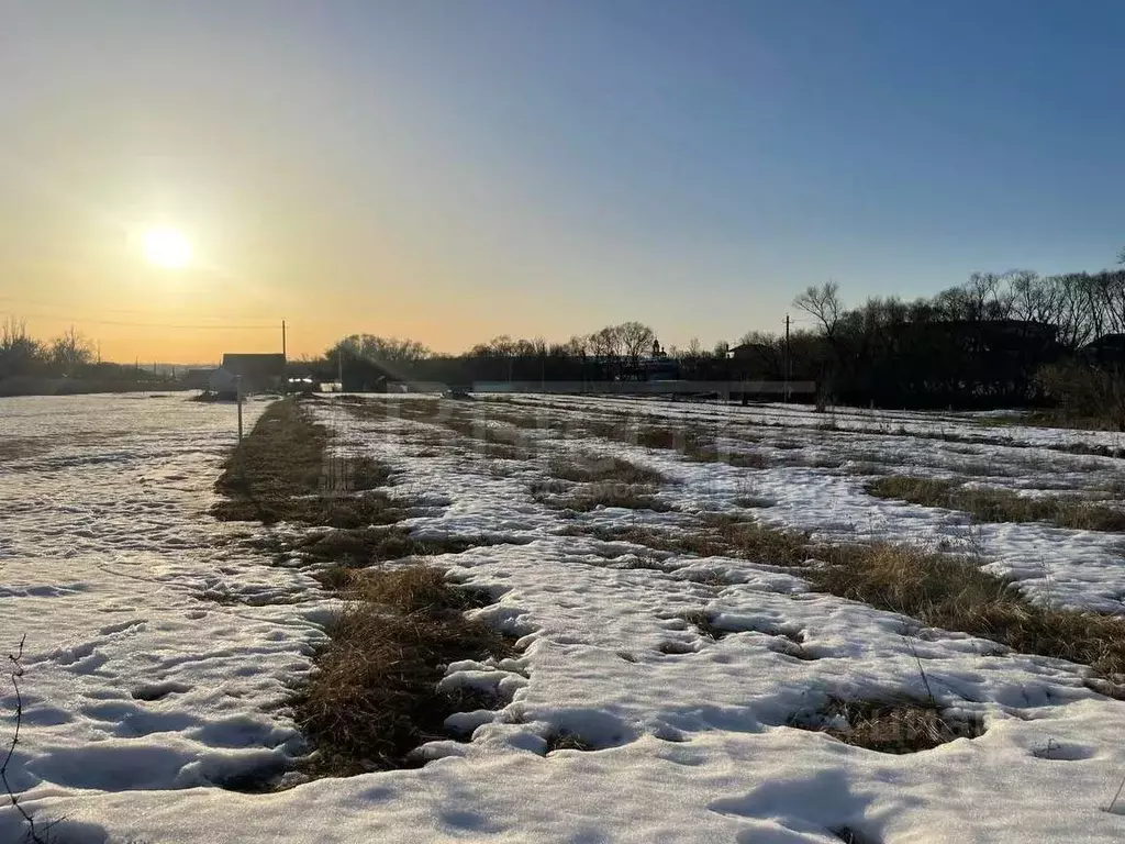 Участок в Воронежская область, Рамонский район, с. Новоживотинное  ... - Фото 2
