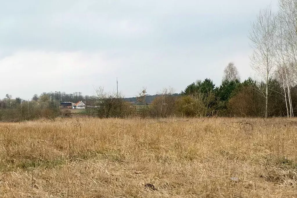 Участок в Калужская область, Перемышльский район, Большие Козлы с/пос, ... - Фото 0