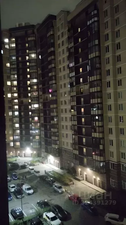 1-к кв. Ленинградская область, Всеволожский район, д. Новое Девяткино ... - Фото 2