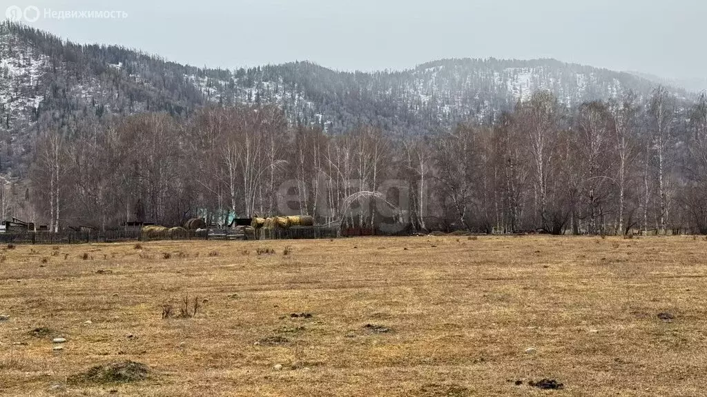 Участок в Усть-Коксинский район, посёлок Гагарка (16.01 м) - Фото 1