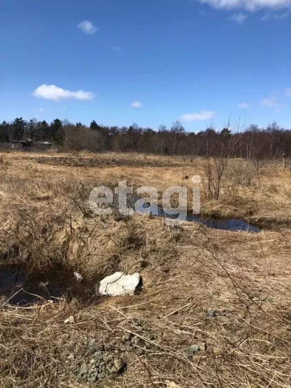 Участок в Сахалинская область, Анивский городской округ, с. Рыбацкое ... - Фото 0