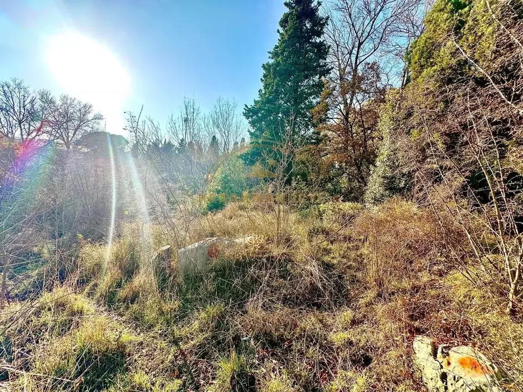 Участок в Крым, Ялта муниципальный округ, Кацивели пгт ул. Академика ... - Фото 2