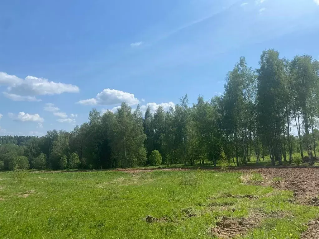 Участок в Московская область, Дмитровский городской округ, Медведки кп ... - Фото 0