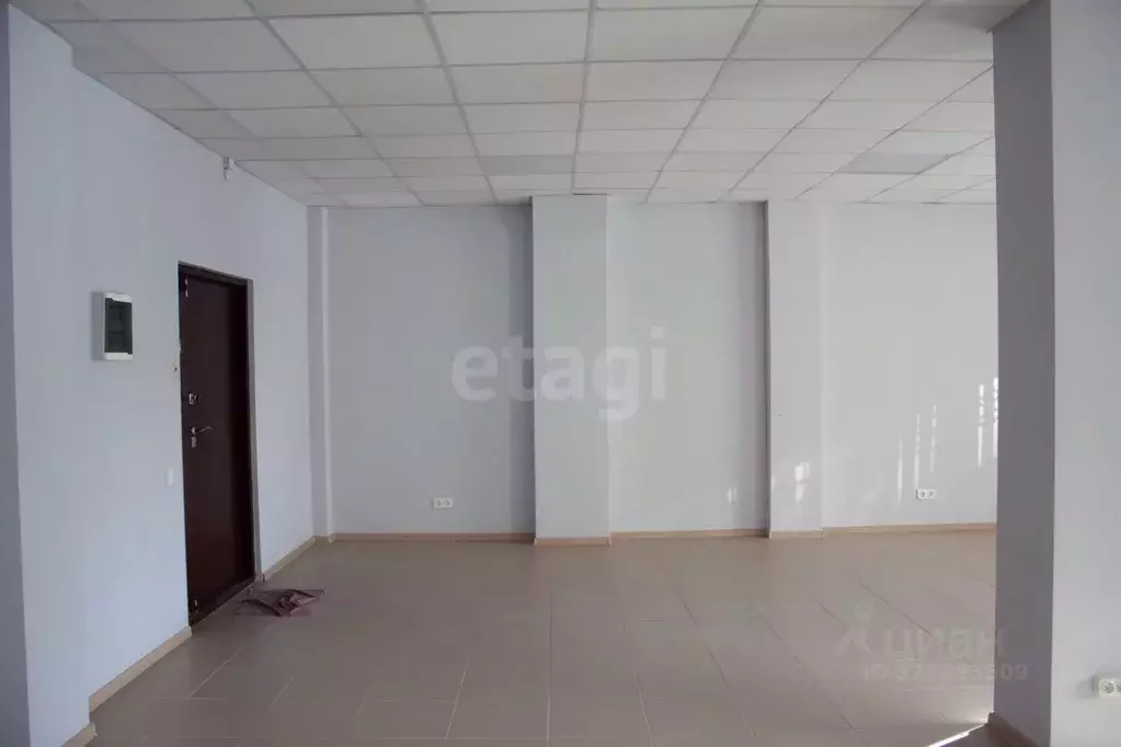 Офис в Новосибирская область, Новосибирск ул. Сибиряков-Гвардейцев, ... - Фото 1