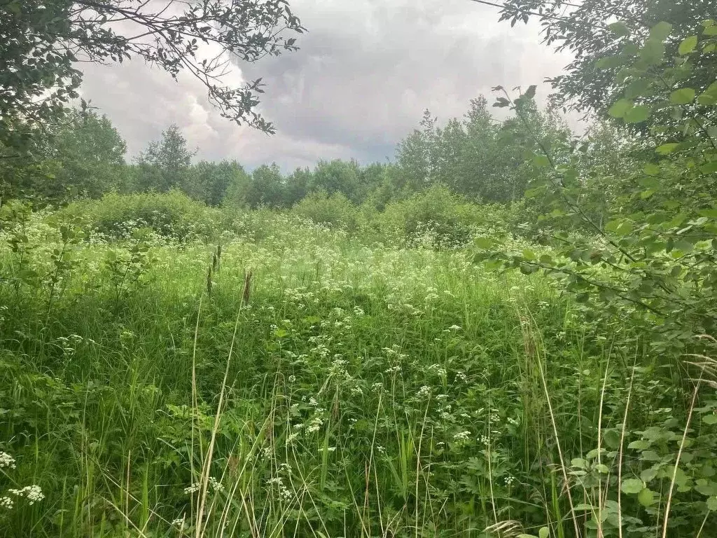 Участок в Вологодская область, Череповецкий район, пос. Малечкино  ... - Фото 2