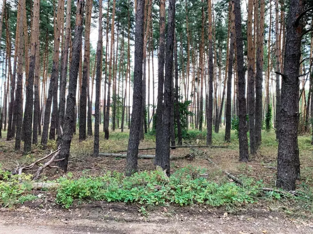 Участок в Воронежская область, Рамонский район, с. Ямное ул. Холмистая .,  Купить земельный участок Ямное, Рамонский район, ID объекта - 20006755308