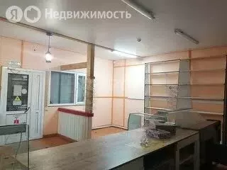 Торговая площадь (79.6 м) - Фото 2