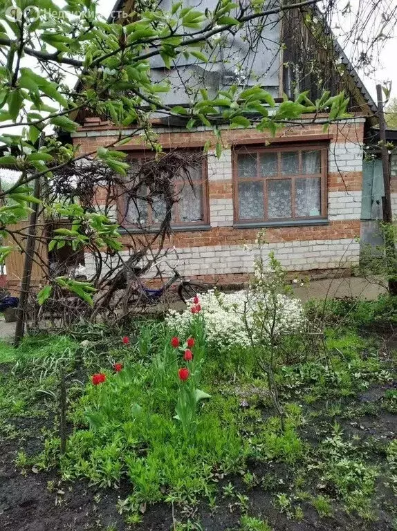 Дом в Воронеж, СНТ Горняк (35 м) - Фото 1