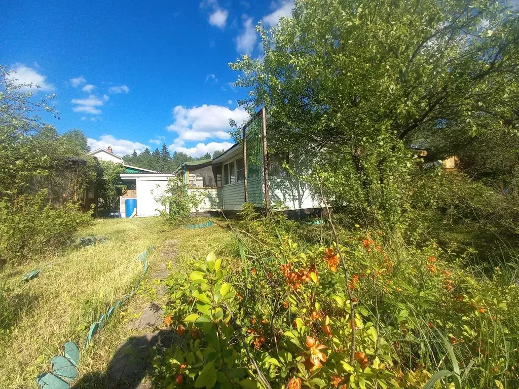 Дом в Московская область, Одинцовский городской округ, Клен СНТ 39 (20 ... - Фото 1