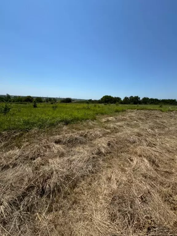 Участок в Краснодарский край, Анапа муниципальный округ, пос. ... - Фото 1