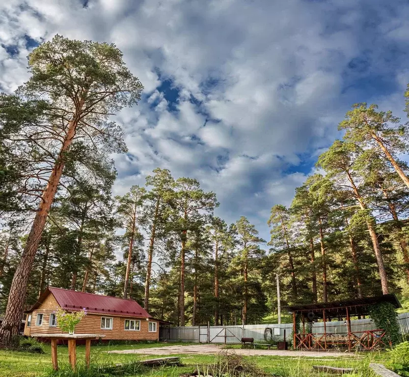 Дом в Челябинская область, Куса г. Кусинское городское поселение, ул. ... - Фото 2