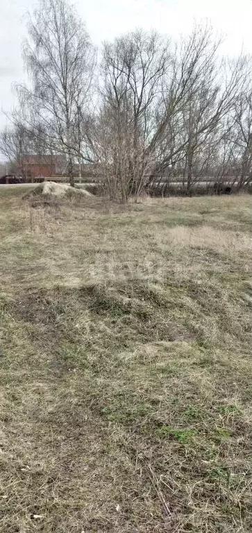Участок 31 сот. (ИЖС) - Фото 0