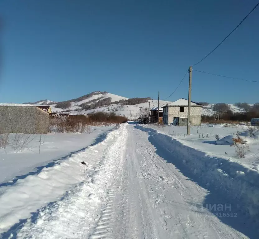 Участок в Алтай, Майминский район, пос. Алферово  (10.0 сот.) - Фото 1