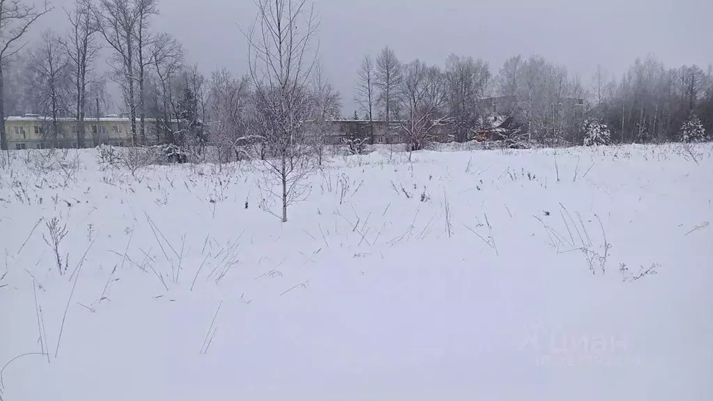 Участок в Московская область, Егорьевск муниципальный округ, с. ... - Фото 2