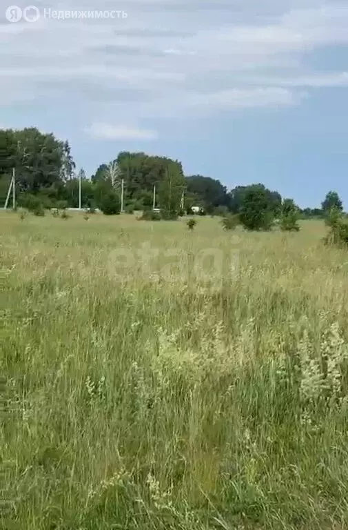 Участок в Мензелинск, Прибрежная улица (10 м) - Фото 1