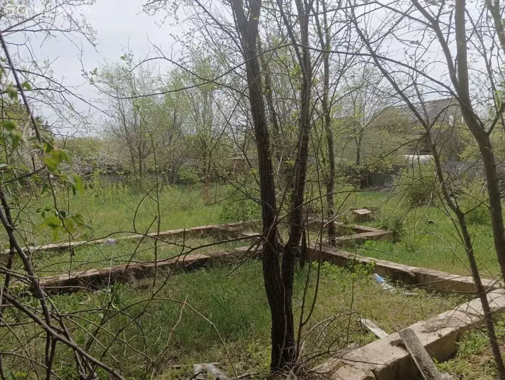 Участок в Старостаничное сельское поселение, садоводческое ... - Фото 0