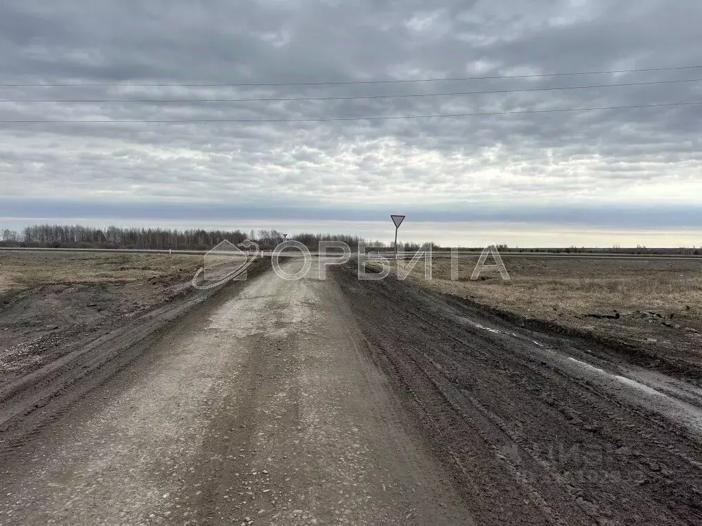 Участок в Тюменская область, Тюменский район, с. Червишево ул. 2-я ... - Фото 0