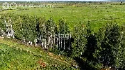 Участок в Тюменский район, село Борки (47.14 м) - Фото 0