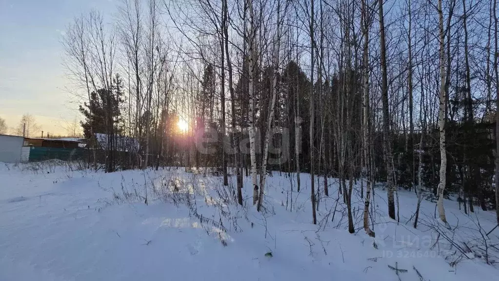 Участок в Ханты-Мансийский АО, Ханты-Мансийск Тайга-2 СОТ, 12 (6.08 ... - Фото 1