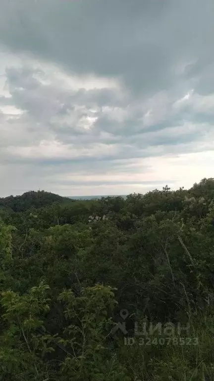 Участок в Краснодарский край, Туапсинский муниципальный округ, пос. ... - Фото 1