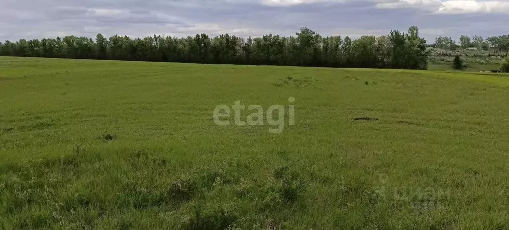 Участок в Белгородская область, Волоконовский район, с. Волчья ... - Фото 1