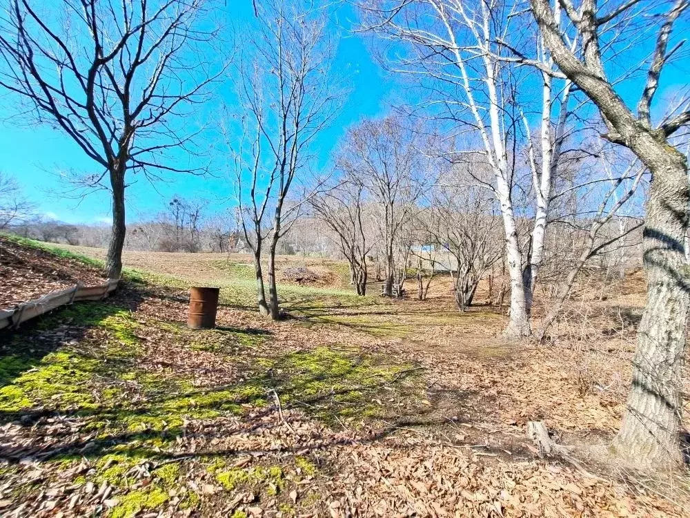 Участок в Приморский край, Партизанский муниципальный округ, с. ... - Фото 1