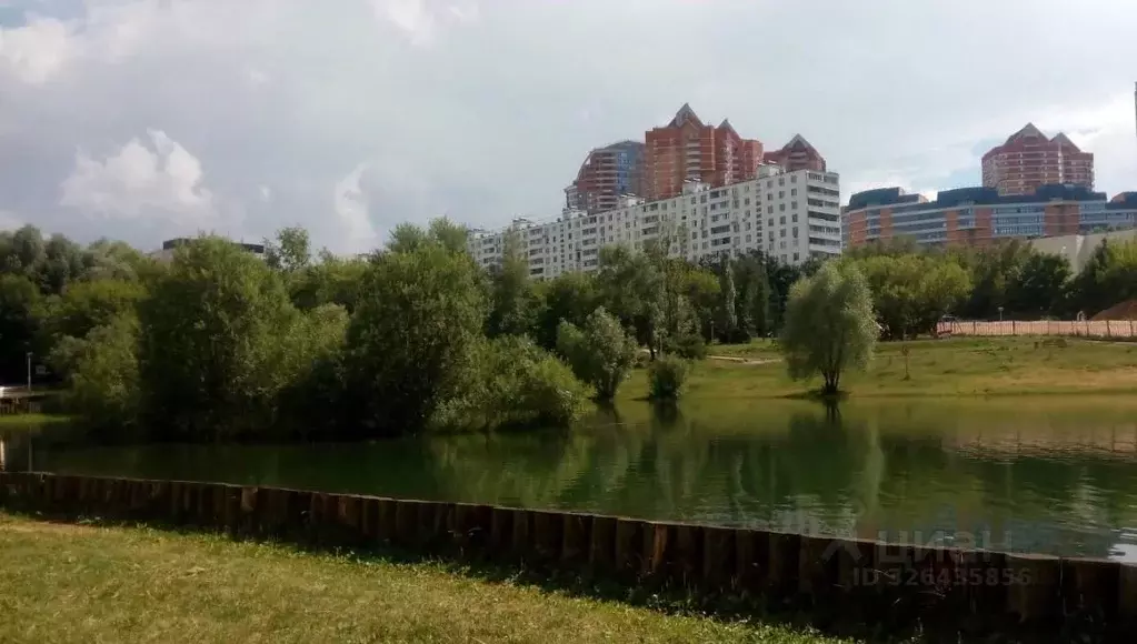 2-к кв. Москва ул. Удальцова, 4 (47.0 м) - Фото 1