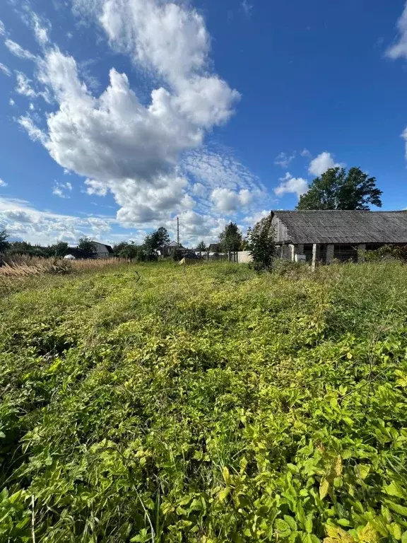 Участок в Псковская область, Порховский муниципальный округ, д. ... - Фото 1